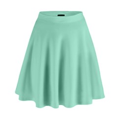 Mint Color High Waist Skirt by picsaspassion