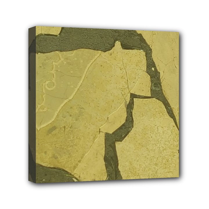 Stylish Gold Stone Mini Canvas 6  x 6 