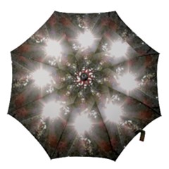 Sun Rays Through White Cherry Blossoms Hook Handle Umbrellas (large) by picsaspassion