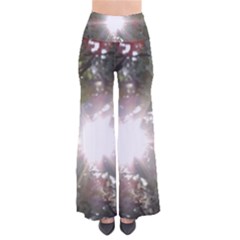 Sun Rays Through White Cherry Blossoms Pants