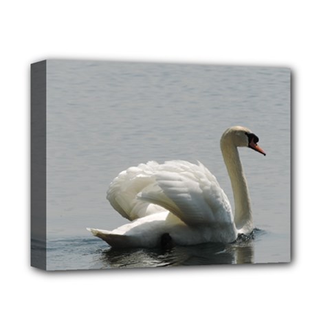 Swimming White Swan Deluxe Canvas 14  X 11 