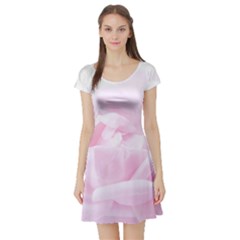 Pink Rose Short Sleeve Skater Dress by Aanygraphic