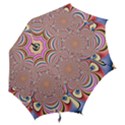 Pastel Shades Ornamental Flower Hook Handle Umbrellas (Large) View2