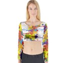 Crazy Multicolored Double Running Splashes Long Sleeve Crop Top View1