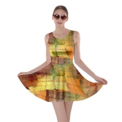 Indian Summer Funny Check Skater Dress by designworld65