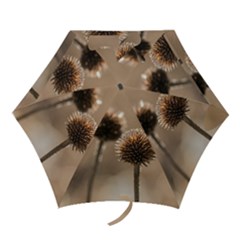 2  Verwelkte Kugeldistel Mini Folding Umbrellas by wsfcow