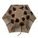 2  Verwelkte Kugeldistel Mini Folding Umbrellas View1