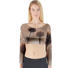 2  Verwelkte Kugeldistel Long Sleeve Crop Top by wsfcow