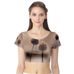 2  Verwelkte Kugeldistel Short Sleeve Crop Top (tight Fit) by wsfcow