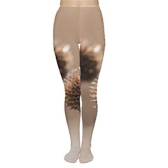 2  Verwelkte Kugeldistel Women s Tights by wsfcow