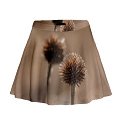 2  Verwelkte Kugeldistel Mini Flare Skirt