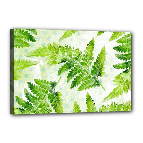 Fern Leaves Canvas 18  x 12 