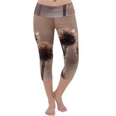 Withered Globe Thistle In Autumn Macro Capri Yoga Leggings