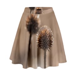 Withered Globe Thistle In Autumn Macro High Waist Skirt