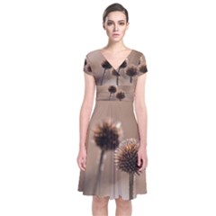 Withered Globe Thistle In Autumn Macro Short Sleeve Front Wrap Dress