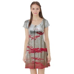 Magic Forest In Red And White Short Sleeve Skater Dress