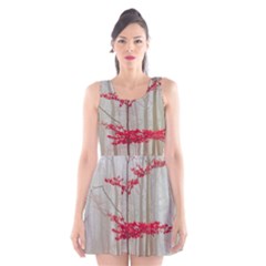 Magic Forest In Red And White Scoop Neck Skater Dress by wsfcow