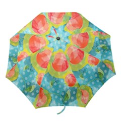 Red Cherries Folding Umbrellas