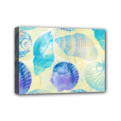 Seashells Mini Canvas 7  X 5  by DanaeStudio