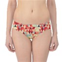 Modern Hipster Triangle Pattern Red Blue Beige Hipster Bikini Bottoms View1