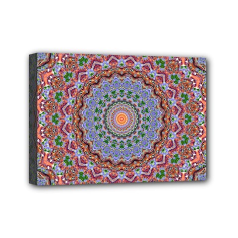 Abstract Painting Mandala Salmon Blue Green Mini Canvas 7  X 5  by EDDArt