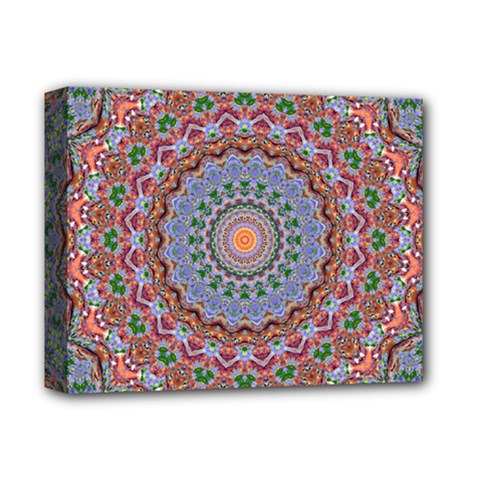 Abstract Painting Mandala Salmon Blue Green Deluxe Canvas 14  X 11  by EDDArt