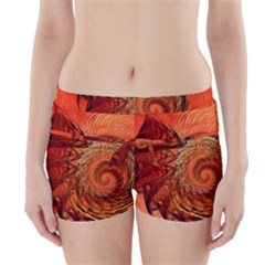 Nautilus Shell Abstract Fractal Boyleg Bikini Wrap Bottoms