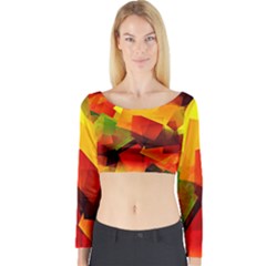 Indian Summer Cubes Long Sleeve Crop Top by designworld65