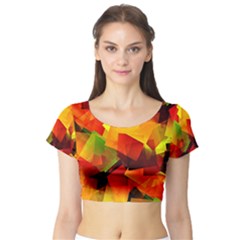 Indian Summer Cubes Short Sleeve Crop Top (tight Fit)