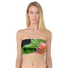 Decorative Flowers Bandeau Top