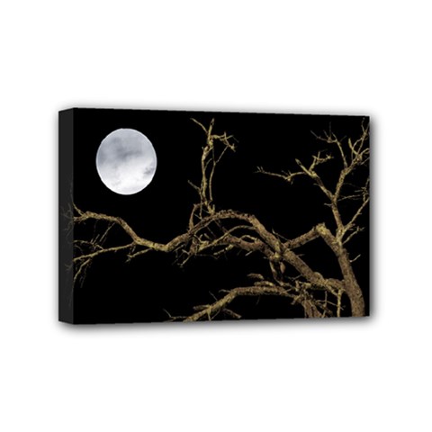 Nature Dark Scene Mini Canvas 6  X 4  by dflcprints