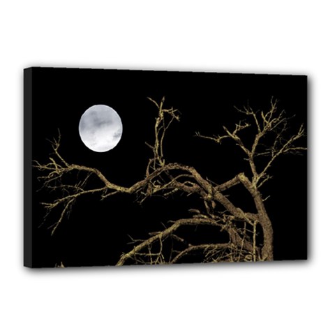 Nature Dark Scene Canvas 18  X 12  by dflcprints