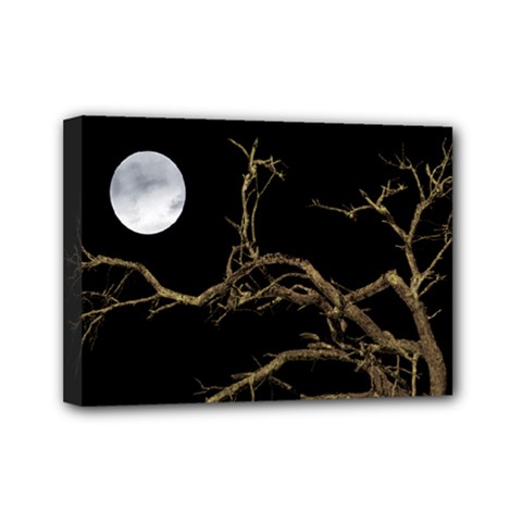 Nature Dark Scene Mini Canvas 7  X 5  by dflcprints