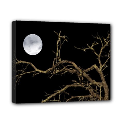 Nature Dark Scene Canvas 10  X 8  by dflcprints