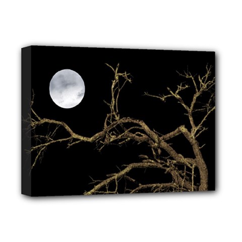 Nature Dark Scene Deluxe Canvas 16  X 12   by dflcprints