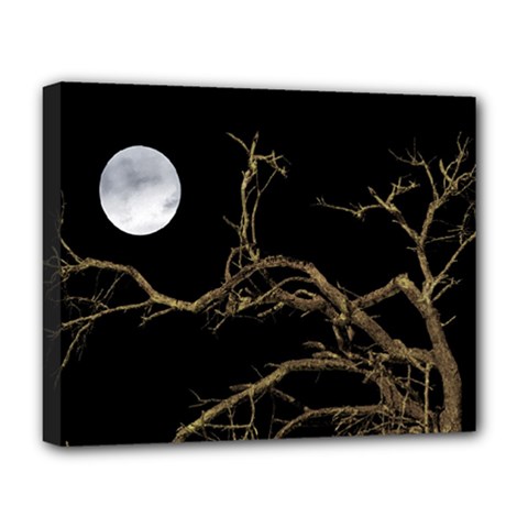 Nature Dark Scene Deluxe Canvas 20  X 16   by dflcprints