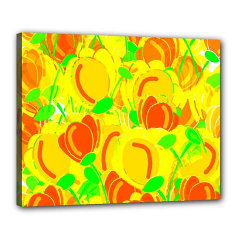 Yellow Garden Canvas 20  X 16  by Valentinaart