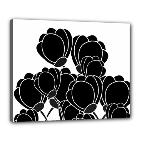 Black Flowers Canvas 20  X 16 