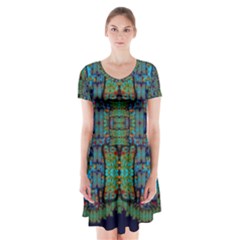 A Bird I Am From Paradise Short Sleeve V-neck Flare Dress by pepitasart