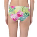 Tropical Dream Hibiscus Pattern Mid-Waist Bikini Bottoms View2