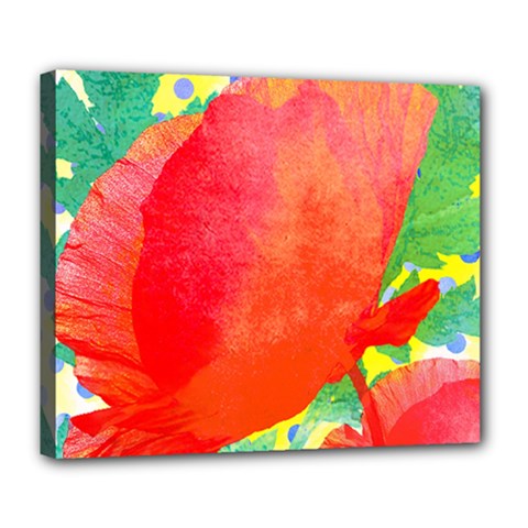 Lovely Red Poppy And Blue Dots Deluxe Canvas 24  X 20   by DanaeStudio