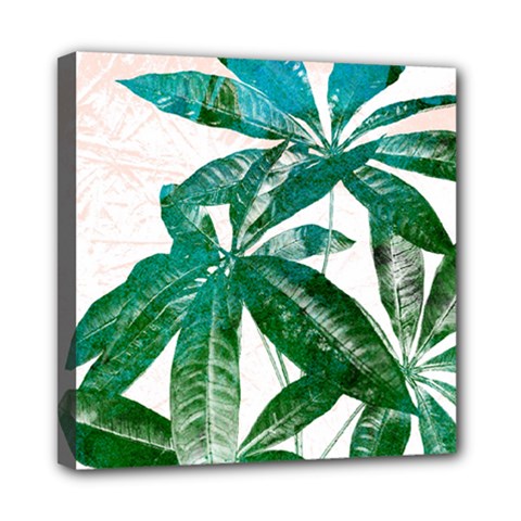 Pachira Leaves  Mini Canvas 8  X 8  by DanaeStudio