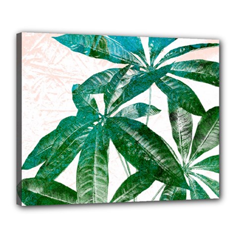 Pachira Leaves  Canvas 20  X 16  by DanaeStudio