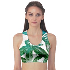 Pachira Leaves  Sports Bra by DanaeStudio