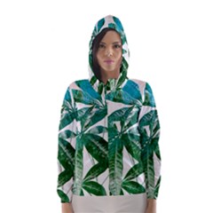 Pachira Leaves  Hooded Wind Breaker (women)