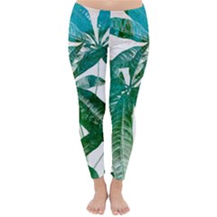 Pachira Leaves  Classic Winter Leggings