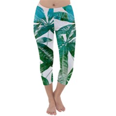 Pachira Leaves  Capri Winter Leggings 