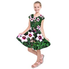 Pink Flowers Over A Green Grass Kids  Short Sleeve Dress