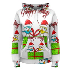 Cute Xmas Birds Women s Pullover Hoodie by Valentinaart