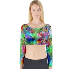 Colorful Strokes                                                                                                                Long Sleeve Crop Top by LalyLauraFLM